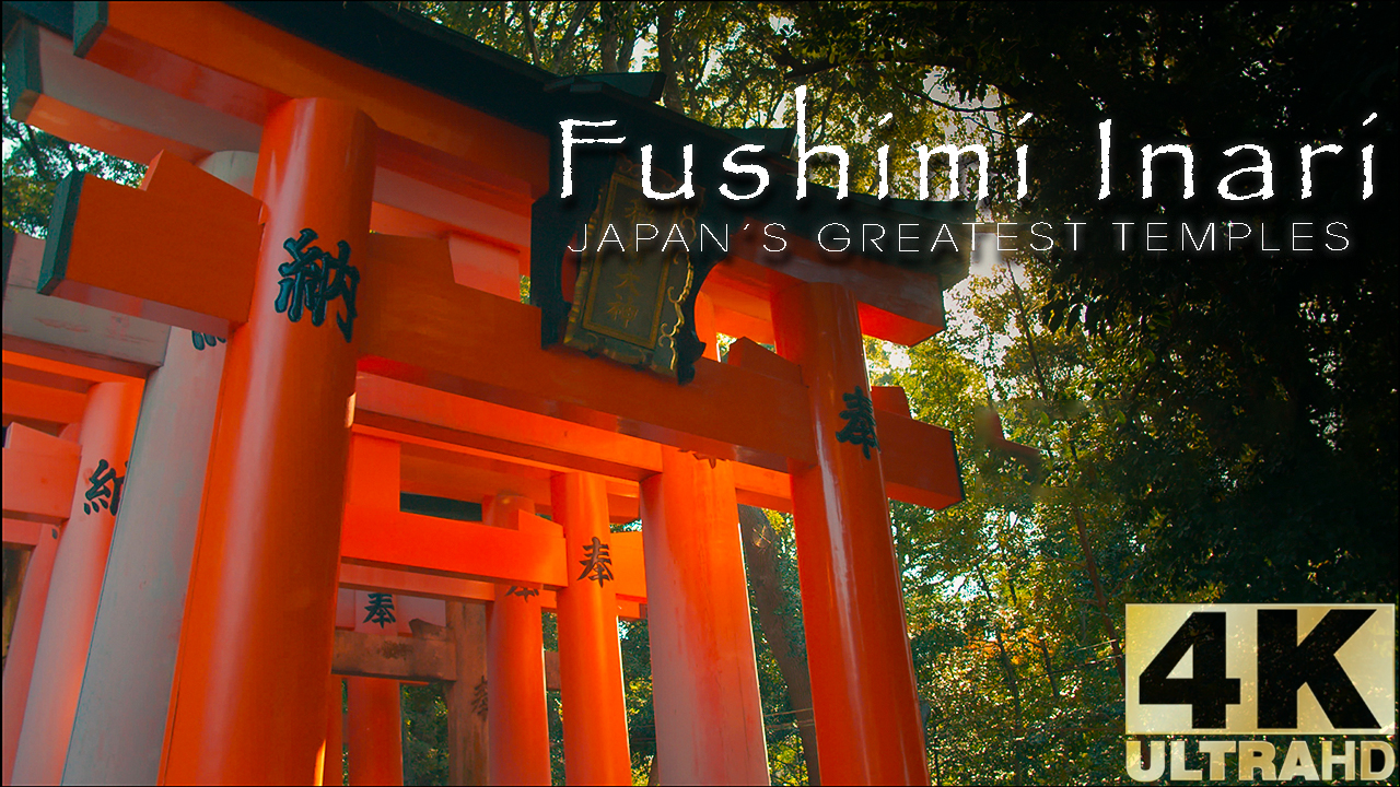 Fushimi Inari taisha : Kyoto Japan